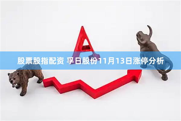 股票股指配资 孚日股份11月13日涨停分析