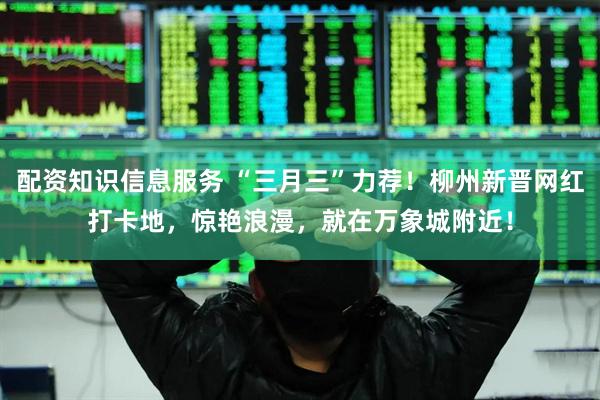 配资知识信息服务 “三月三”力荐！柳州新晋网红打卡地，惊艳浪漫，就在万象城附近！
